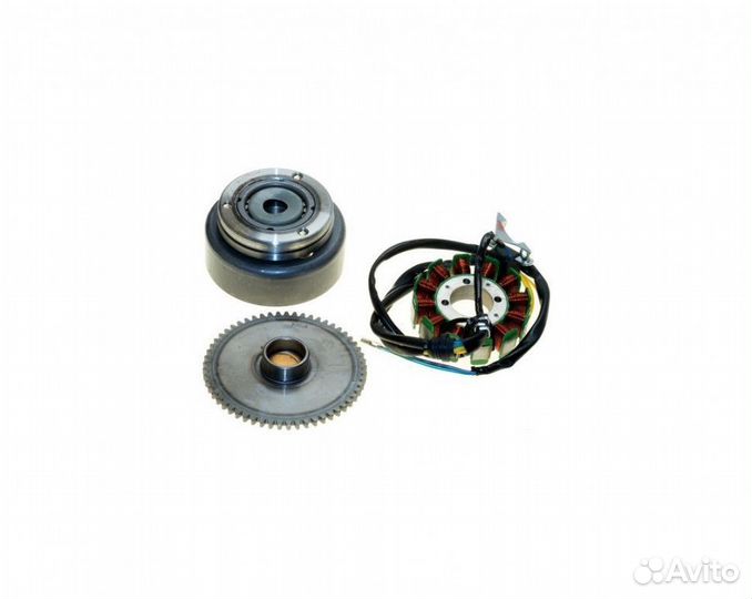 Зажигание в сборе с маховиком 166FMM (CB250) (12 к