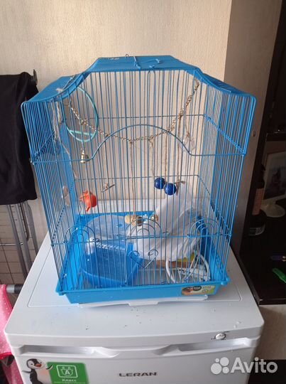 Продам клетку для попугая