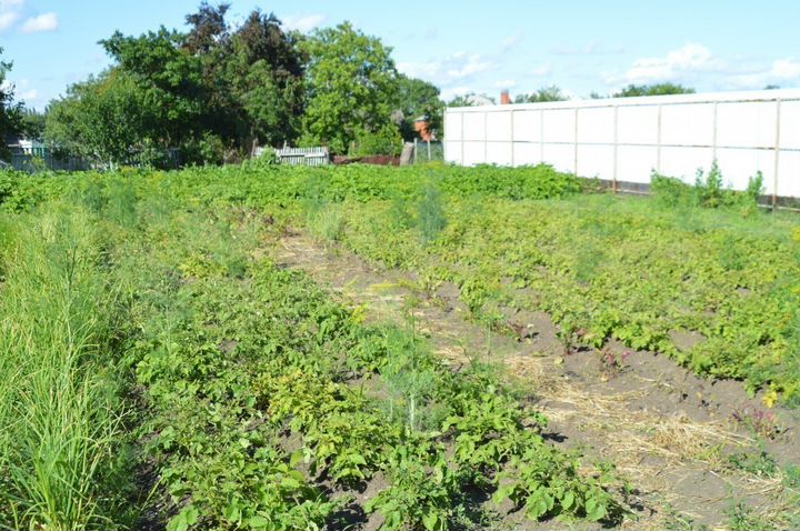 Дом 80 м² на участке 8,8 сот.