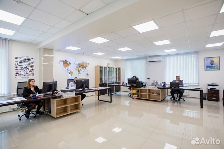 Свежемороженая рыба оптом. Горбуша, мойва, навага