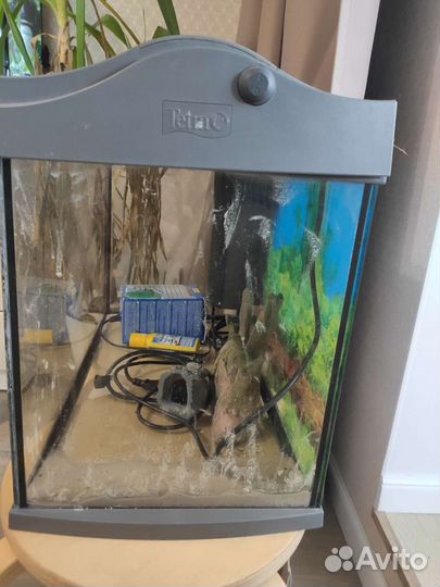 Аквариум