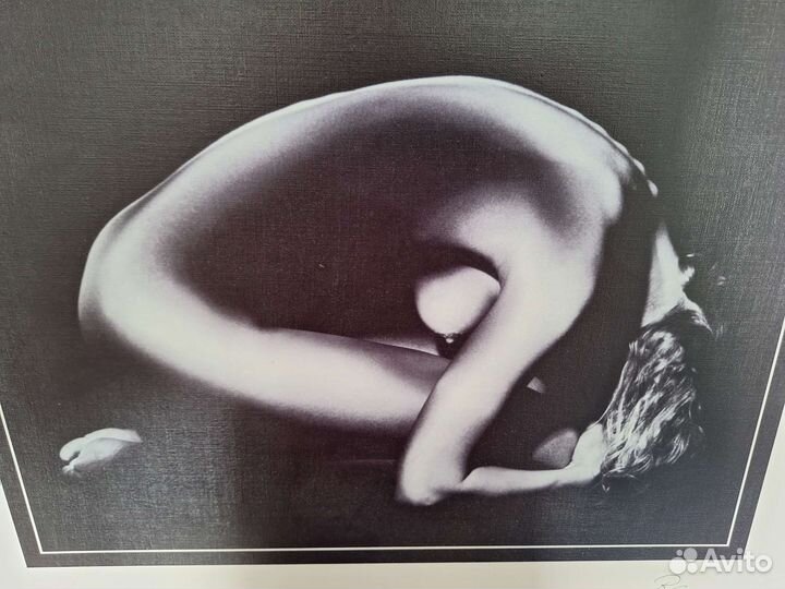 Стильная Картина 62*53 см интерьерная