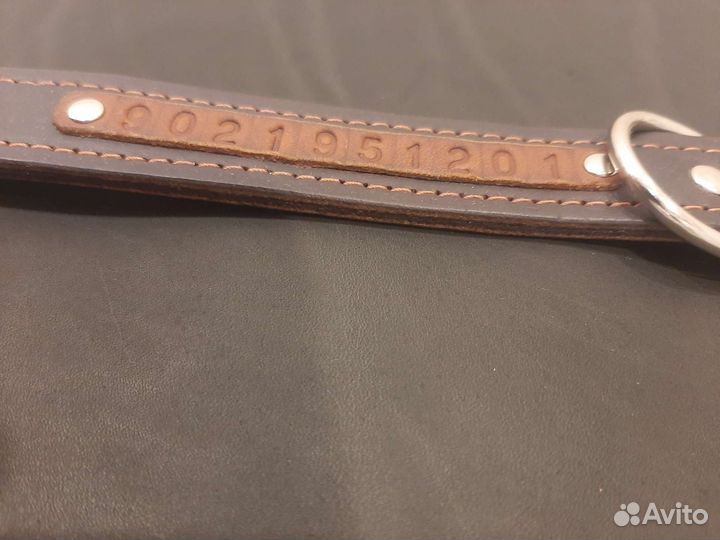 Ошейник с номером телефона