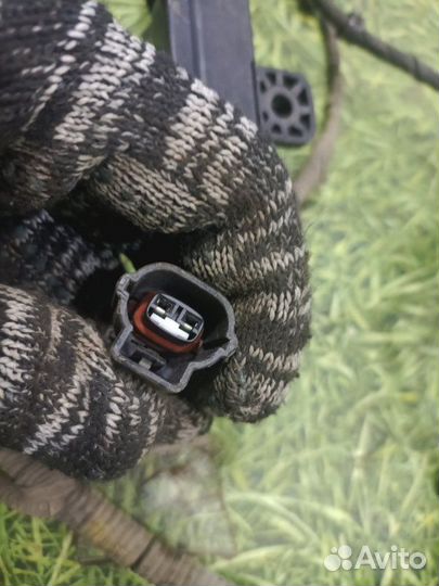 Проводка двс Kia Optima седан 2.0 G4KD 2012