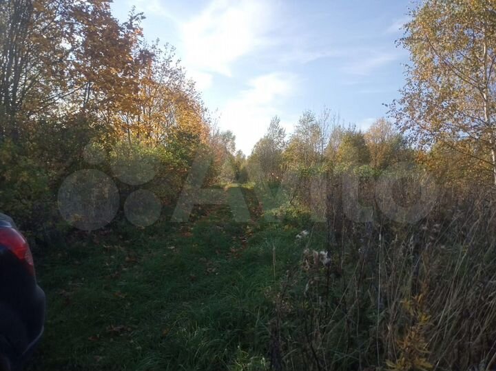 Участок 10 сот. (СНТ, ДНП)