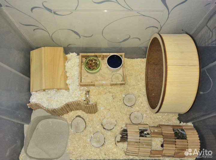 Жилье и корм сирийского хомяка