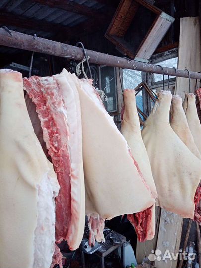 Мясо свинины