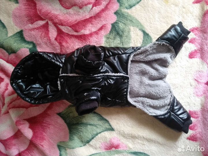 Комбинезон для собаки