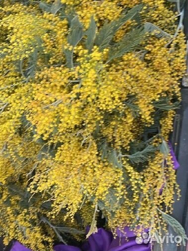 Мимоза опт/розница/тюльпаны