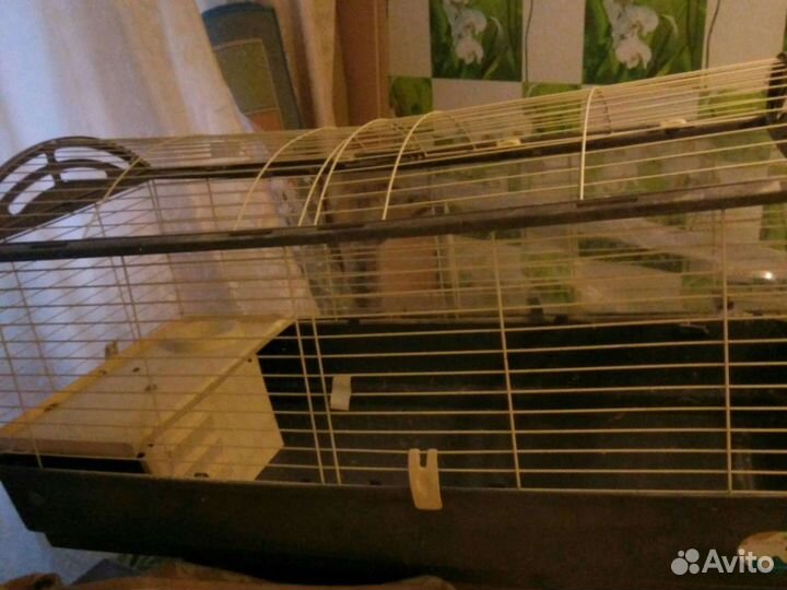 Клетка для грызунов