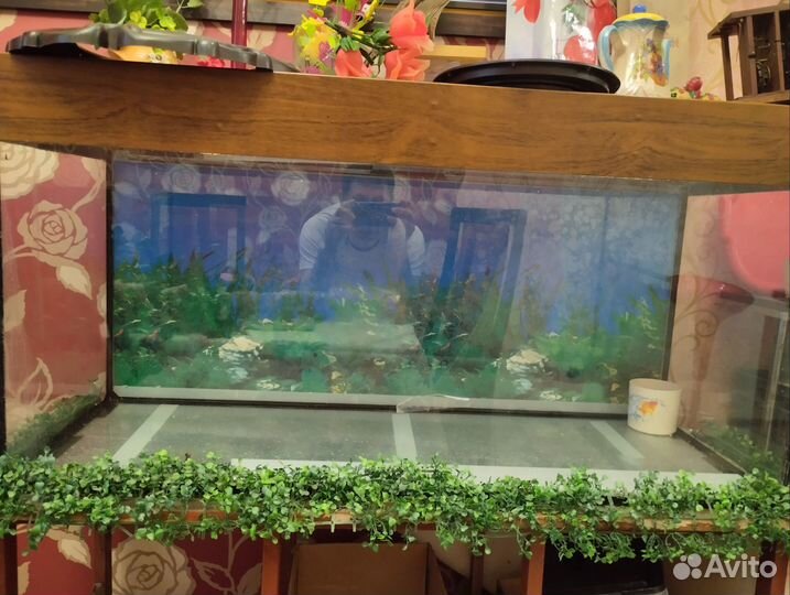 Аквариум