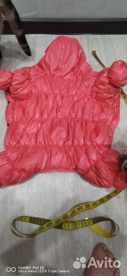 Комбинезон и курточка для собачки