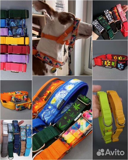 Ошейник мартингейл для собак на заказ