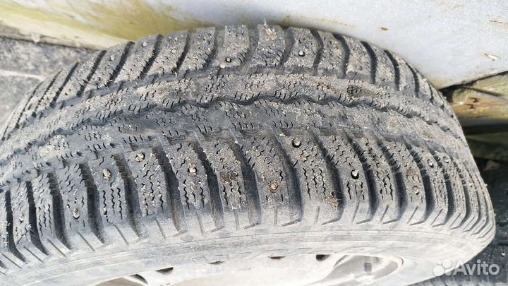 Fortio WN-01 195/65 R15
