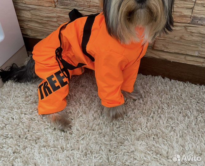 Комбинезон дождевик для собак Limargy