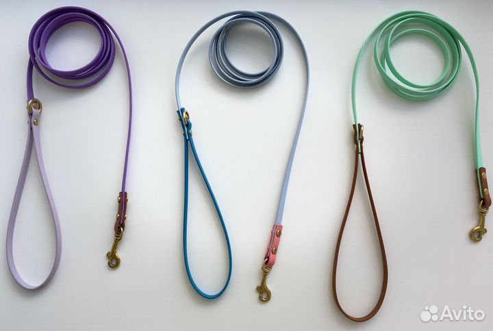 Амуниция для собак