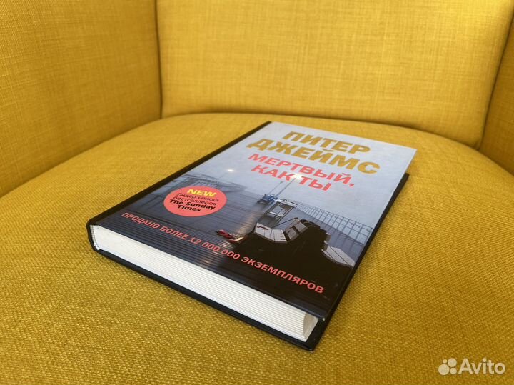 Мертвый, как ты - Питер Джеймс