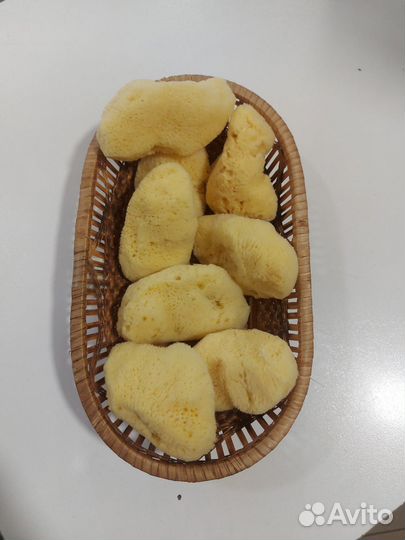 Губка натуральная