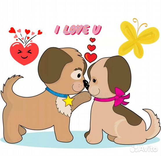 Инструктор по вязке собак