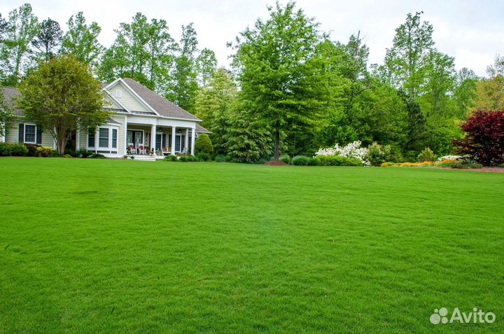 Рулонный газон производство, доставка, укладка