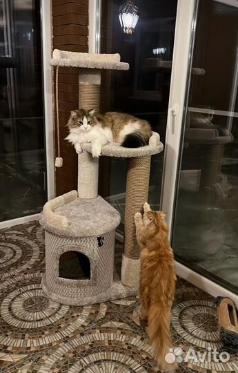 Домик - когтеточка, лежанка для котов(кошек) новый