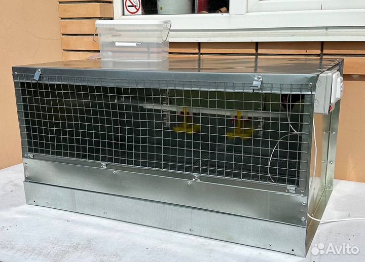 Брудер для цыплят