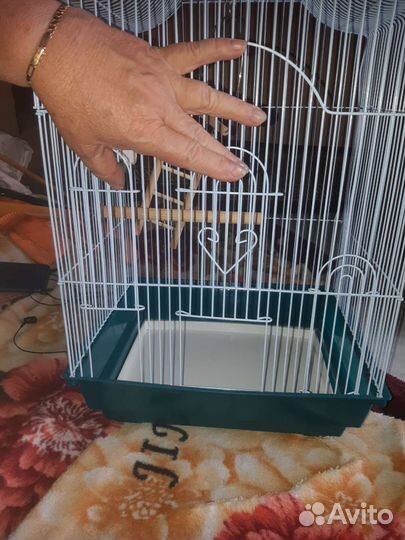 Клетка для птиц