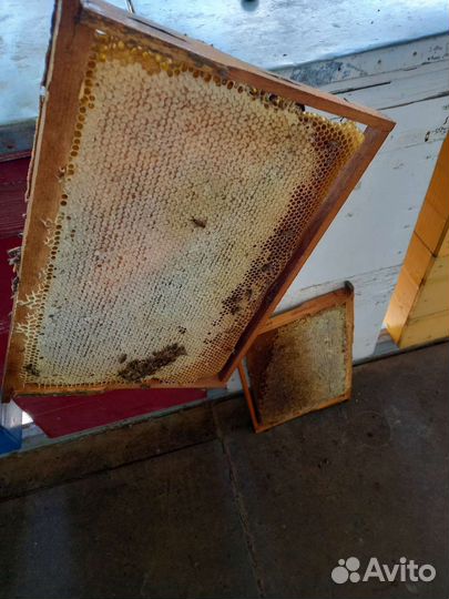 Липовый мед доставка бесплатно