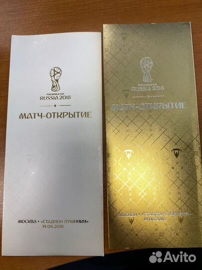 Билет на чемпионат мира