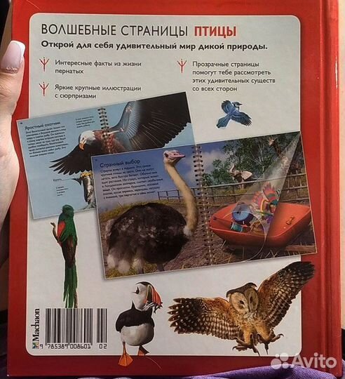 Книга 2D волшебные страницы птицы