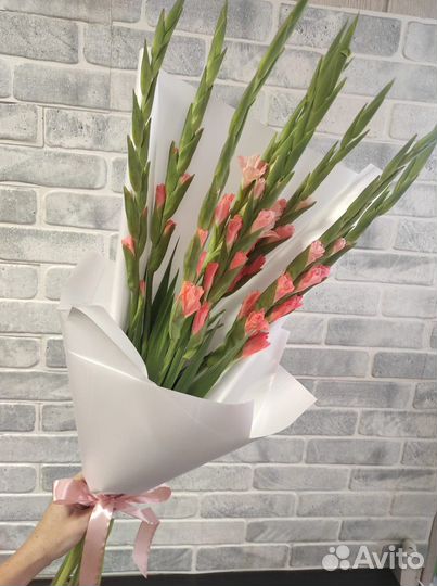 Гладиолусы Букеты из гладиолусов 9 15 25 29