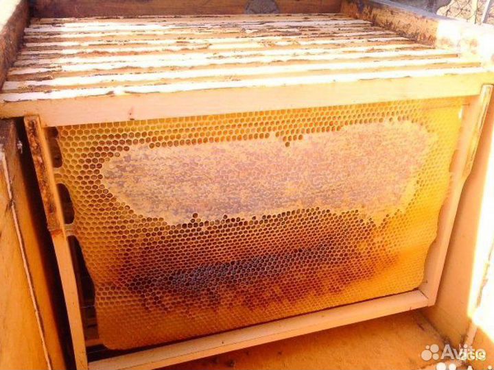 Сушь для пчел с медом