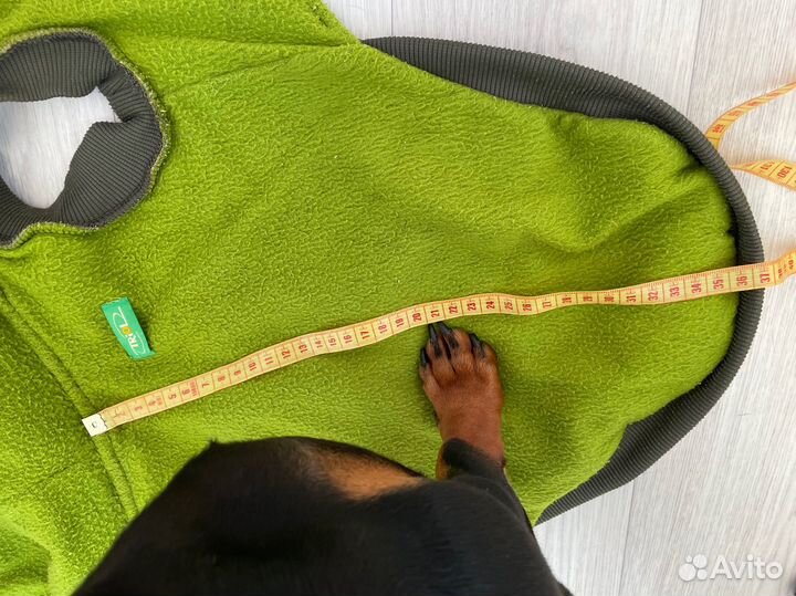 Одежда куртка для собак