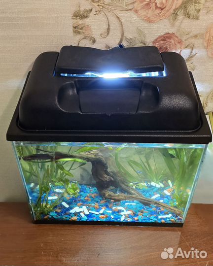 Аквариум 20 литров