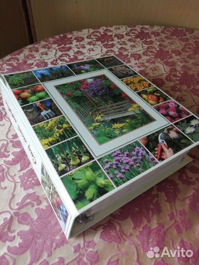 Сад моей мечты