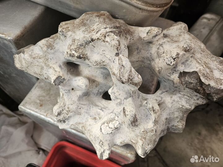 Камень кремний