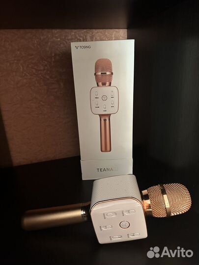 Микрофон колонка teana