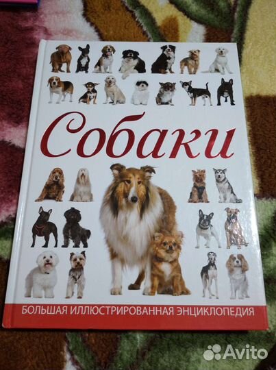 Большая иллюстрированная энциклопедия Собаки