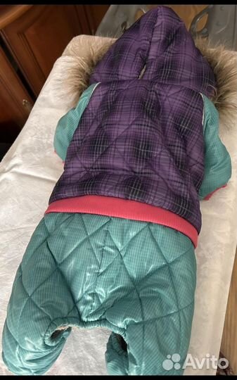 Одежда для маленьких собак