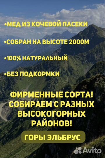 Мед липа+донник+сбор трав