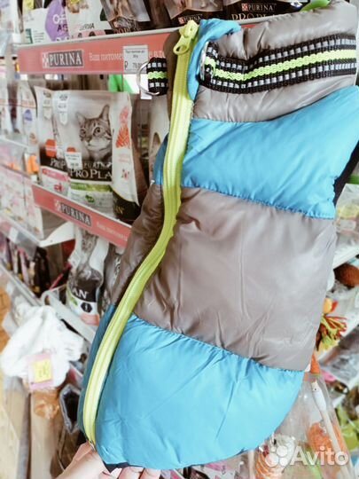 Одежда для собак