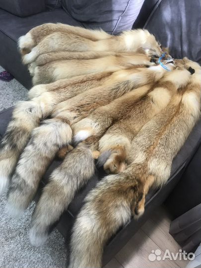 Шкуры лис выделанные