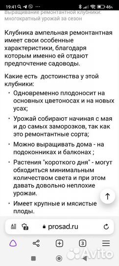 Клубника ремонтантная (крупноплодная) вьющаяся