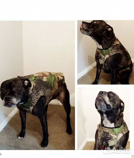 Жилет для собак