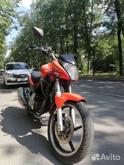 Stels flex 250