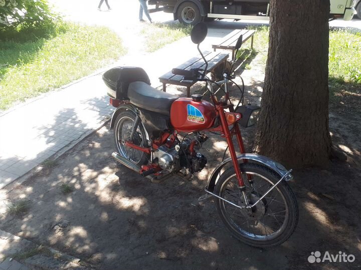 Мопед карпатый