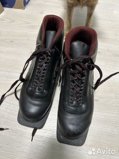 Лыжные ботинки botas 43 р