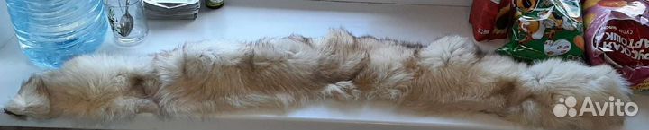 Шкурка животного