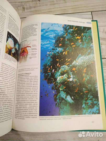 Большая книга Азбука природы Ридерз Дайджест