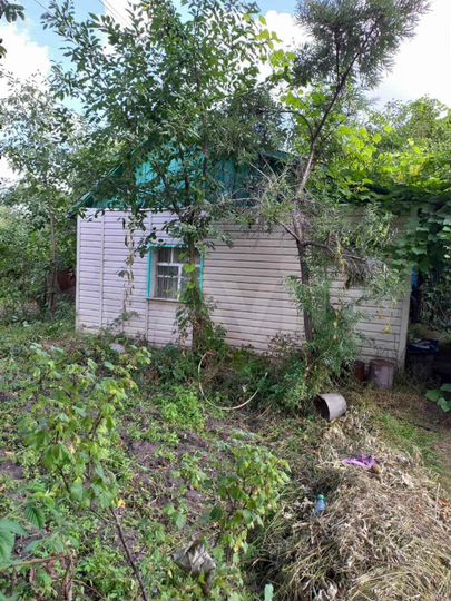 Дача 24 м² на участке 6 сот.